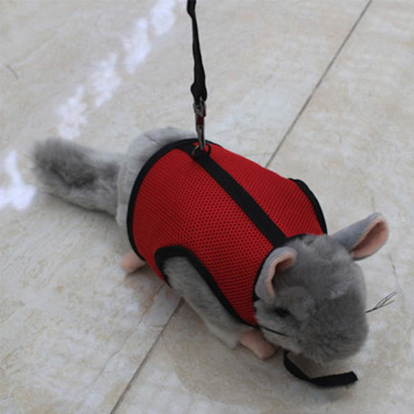 Small Pet Sele Bell, No Pull Comfort Vadderad väst Slitstark Nylon, Marsvin Sele koppel Set hela säsongen för liten kanin, iller, råttor, leguan, skinkor