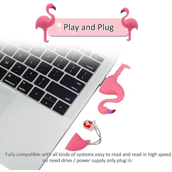 U Disk-Flamingo-128GB