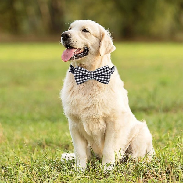 Hundeslips, Haopinsh Hundehalsbånd Hunderutet slips Slipsspenne Lys Justerbar Hundehalsbånd