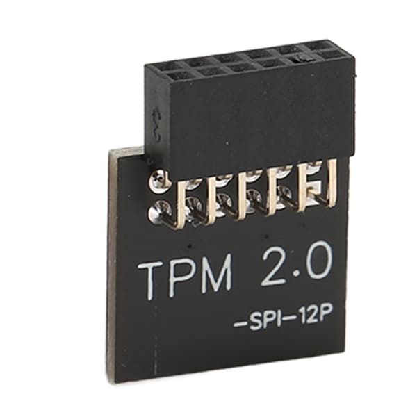 GIGABYTE Moderkort TPM 2.0 SPI 12Pin Säkerhetskrypteringsmodul Kompatibel med Windows 11