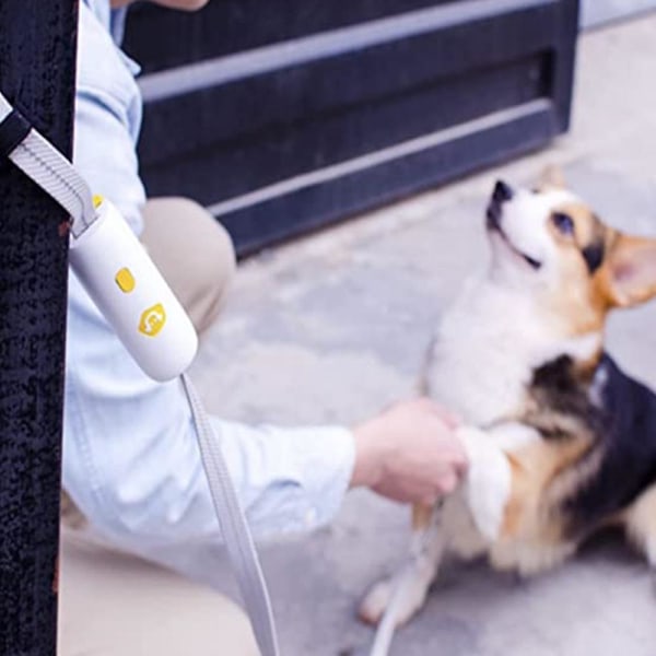Hundebånd med antisklihåndtak, trådtau for små mellomstore hunder