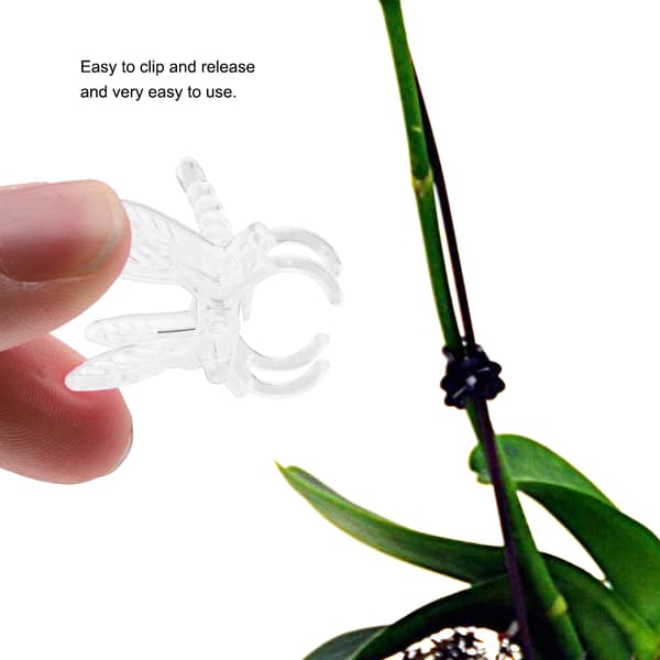 100 stk. transparente plast hageklips for orkideblomststøtte Mini stilker