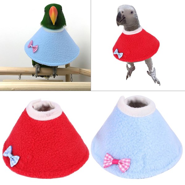 papukaija suoja kartio kaula palautus lintu Elizabeth kaulus Blue M