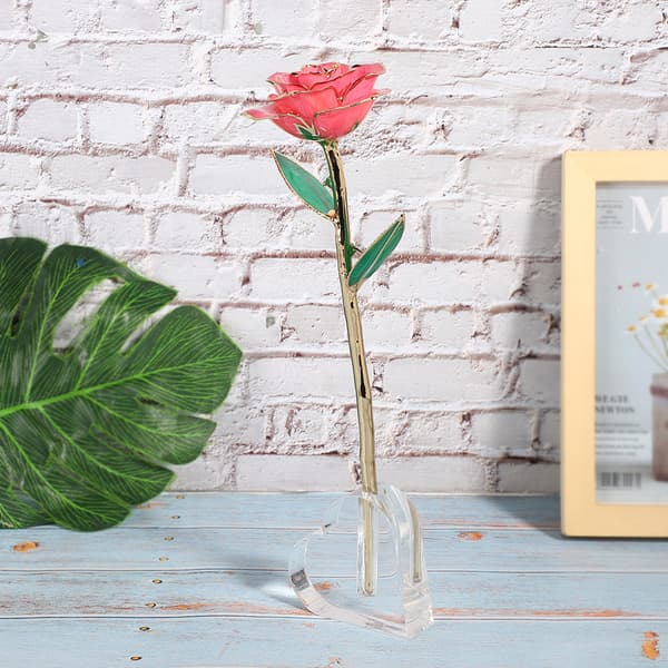 Rosdisplayställ Konstgjord Blomma Transparent Bas Hjärtformad för Heminredning