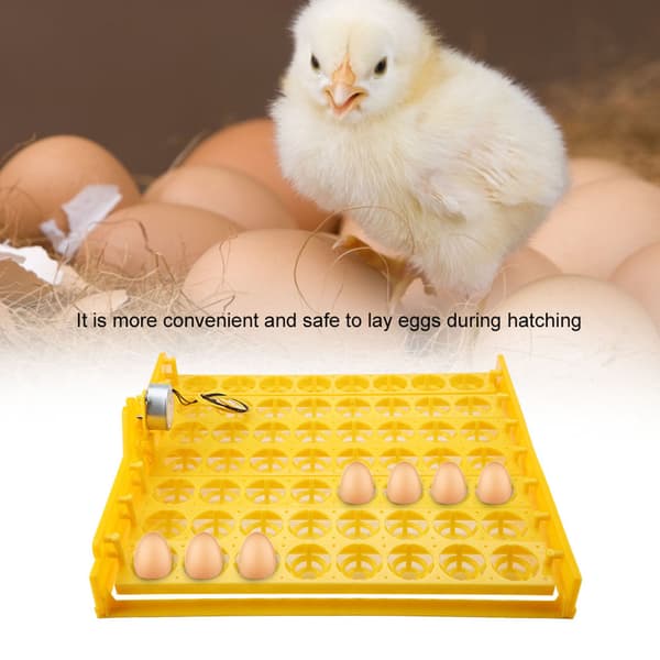 56 Egg Mini Automatisk Inkubator med Motor 100-120V Egg Vendebrett