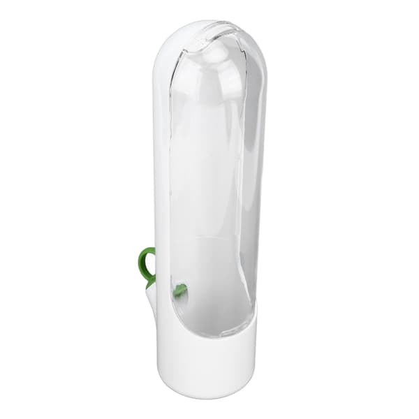 Fresh Herb Savor Keep Koriander Mynte Persille Asparges Frisk