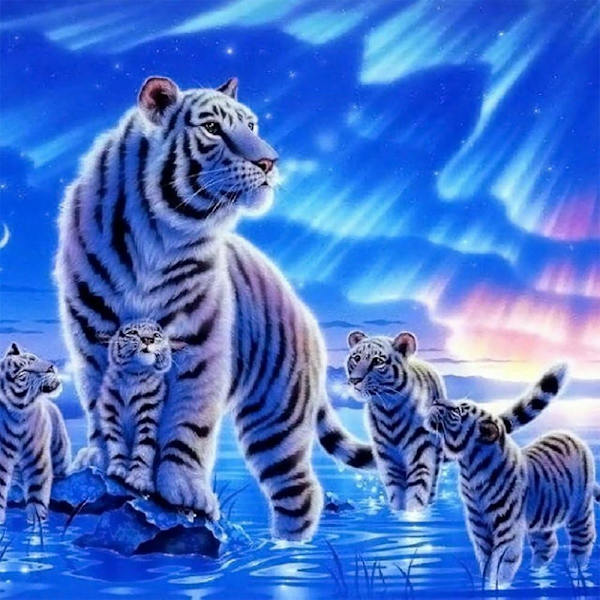 5D DIY Diamond Sæt Fuld Diamond Diamond Maling Wall Stickers til Stue, Tiger (12X12inch/30X30CM),