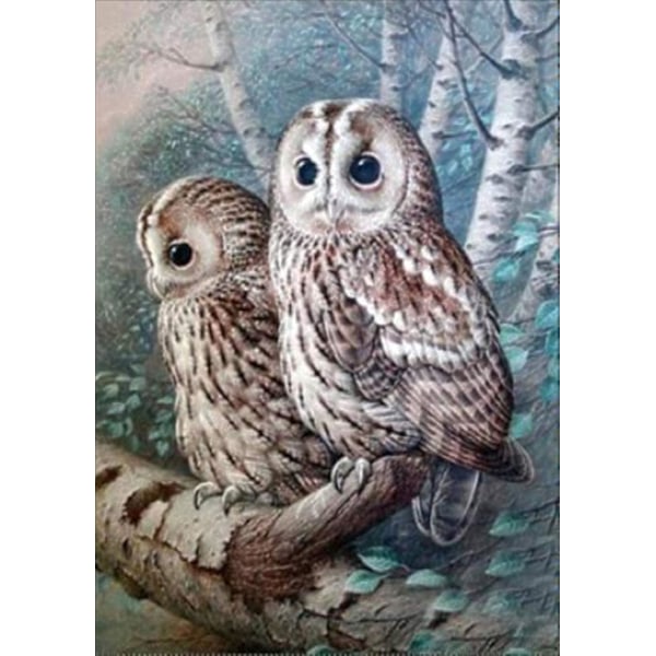 5D diamantmaling, gjør-det-selv-dekorasjon, julegave, 30*40Cm