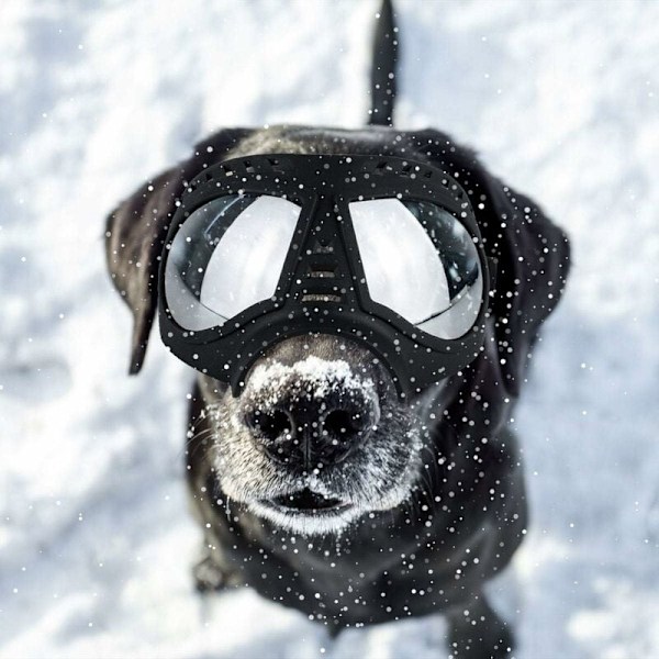 Kæledyrsbriller, vandtæt blødt stel (Størrelse L sort (medium og store hunde)),