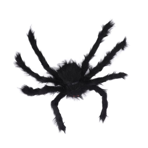 Halloween Edderkoppespind Sæt Irregulær Form Vejrbestandig Elastisk Polyester Plastik Edderkoppespind Dekoration