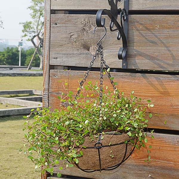 Kokospalme Hængekurv Medium 25cm