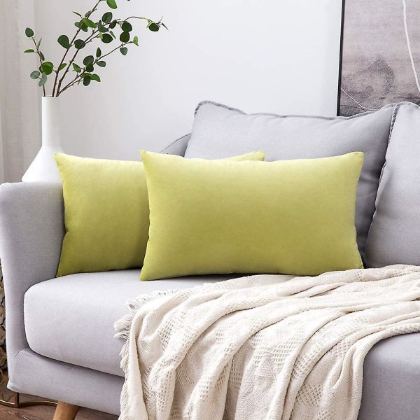Sett med 2 fløyelsputetrekk Dekorativ sofa Putetrekk Superglatt Myk Komfortabel dekorasjon Hjem Stue Soverom For Sofa 60x60cm Lys G