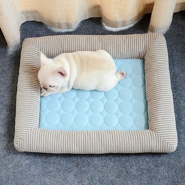 Liten Kylmatta för hundkatt, 100 * 70 cm Kylmatta för husdjur, perfekt för hundar och katter att hålla sig svala i sommar