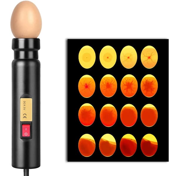 Auto LED Äggljusare Testare Mini Belysningsinkubator för Experiment