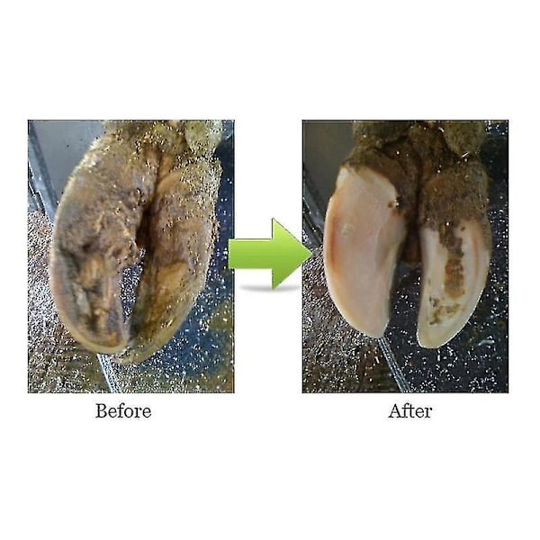 Animals Hoof Trimming Disc Ammattimainen sähkötyökalu