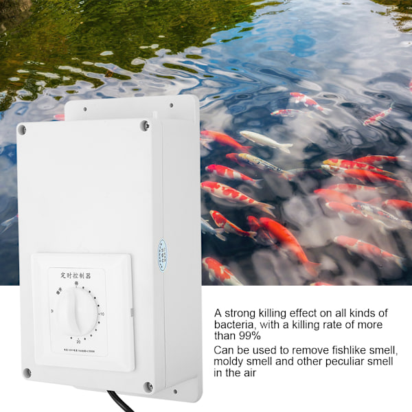 2000mg Ozon Generator for Vannrensing, Dam Behandling og Frukt- og Grønnsakssterilisering
