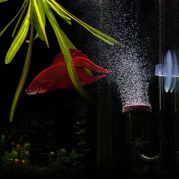 Akryl Akvarium CO2 Bubbelräknare Fisk Tank Vattenväxt Atomizer Diffuser