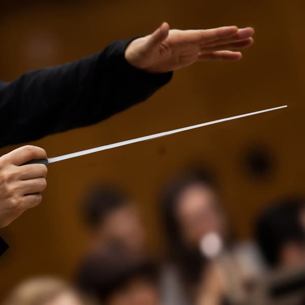 Profesjonell orkesterdirigentstokk Musikkstokk Konsertdirigentstokk med håndtak Svart