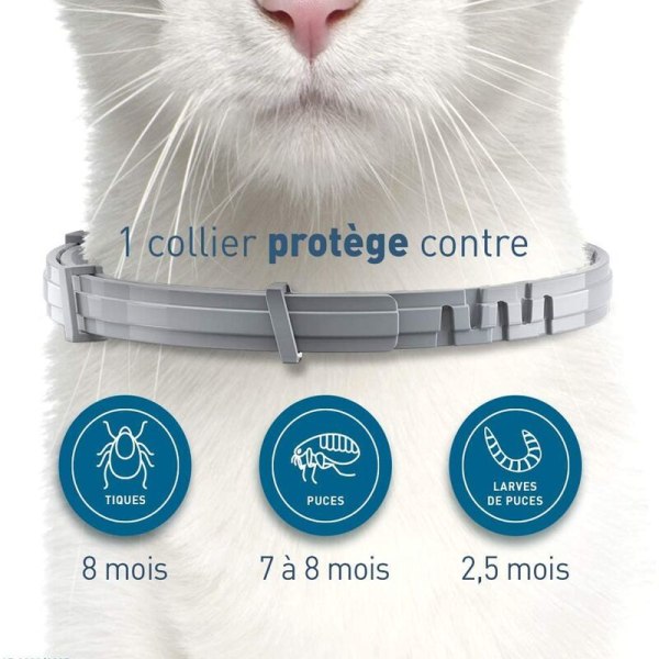 Europeisk version Kattunge 38CM Bayer Solai Multi-maskning djurhalsband för katt- och hundloppor