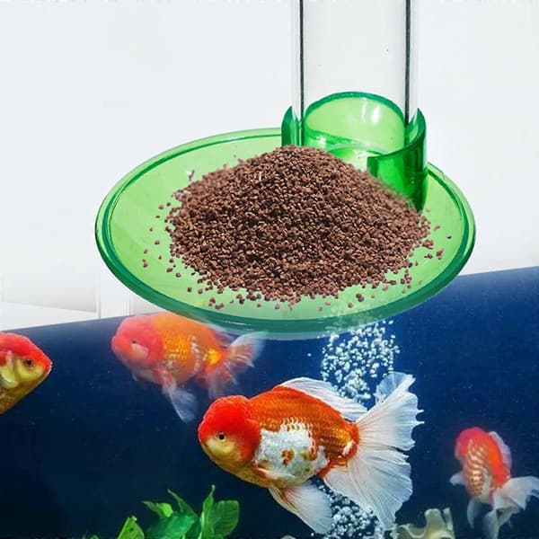 Akvarium Foderrør Akryl Fisk Rejefoder med Foderskål 6 Størrelser Klips til Akvarier med Lavt Vandniveau