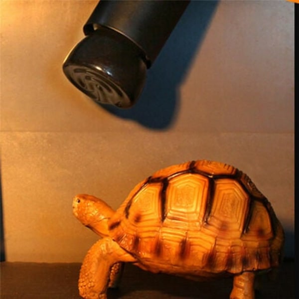 Sköldpaddsvärmelampa Husdjursvärmelampa Keramisk värmelampa Infraröd reptilvärmelampa (50W)