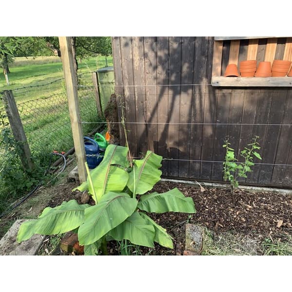 [qg]30M 2mm Rustfri Stålwire med M5 Strammere til Planter & Gelændere