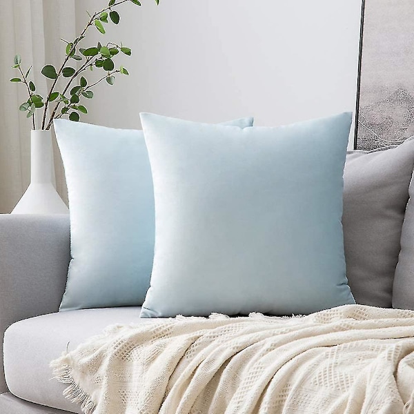Sett med 2 fløyelsputetrekk Dekorativ sofa Putetrekk Superglatt Myk Komfortabel dekorasjon Hjem Stue Soverom For Sofa 65x65cm Champag