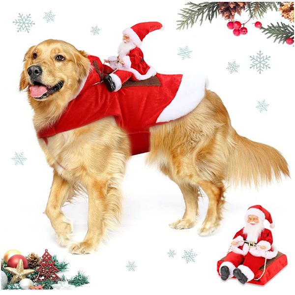 Julhundskläder (XXL) XXL