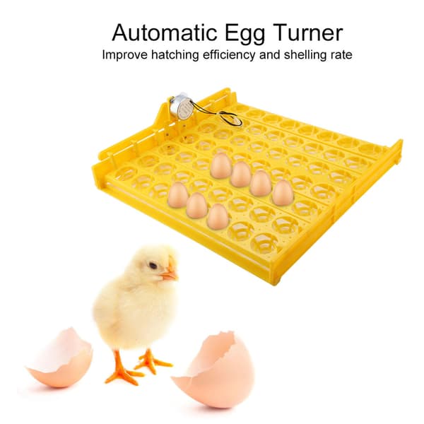 56 Egg Mini Automatisk Inkubator med Motor 100-120V Egg Vendebrett