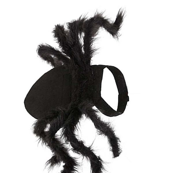 Halloween kæledyr hund kat rollespil kostume Halloween edderkop