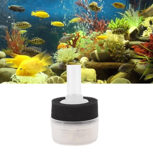 Multifunktionellt akvariefisk tank svampfilter