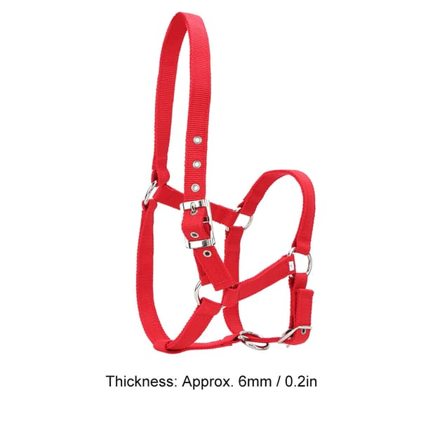 Högdensitets 6 mm förtjockad webbing hästträns kontroll grimma röda ridtillbehör