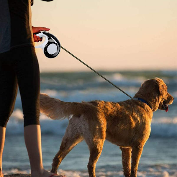 Infällbart hundkoppel 5M upprullningskoppel med ergonomisk design och indragbart bekvämt koppel för träningskoppel för hundstorlekar upp till 15 kg Justerbart koppel