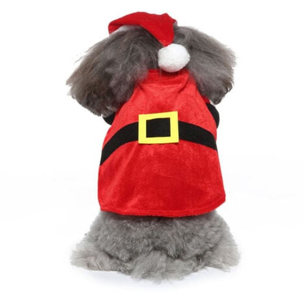 Cosplay hundkläder står upp, klä upp husdjurskläder