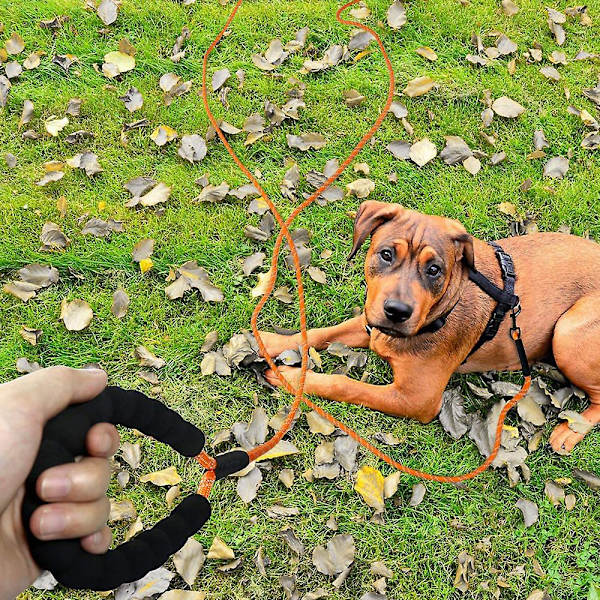 Reflekterende nylontau Langt hundebånd for hundeturer, camping