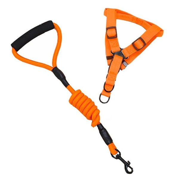Kraftig hundkoppel, husdjurskoppel i nylon , vadderat handtagskoppel för medelstora hundar, liten orange valp M，