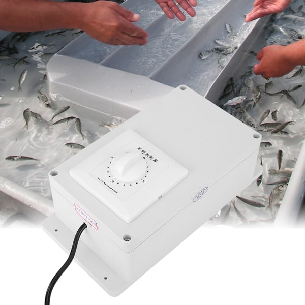 2000mg Ozon Generator for Vannrensing, Dam Behandling og Frukt- og Grønnsakssterilisering