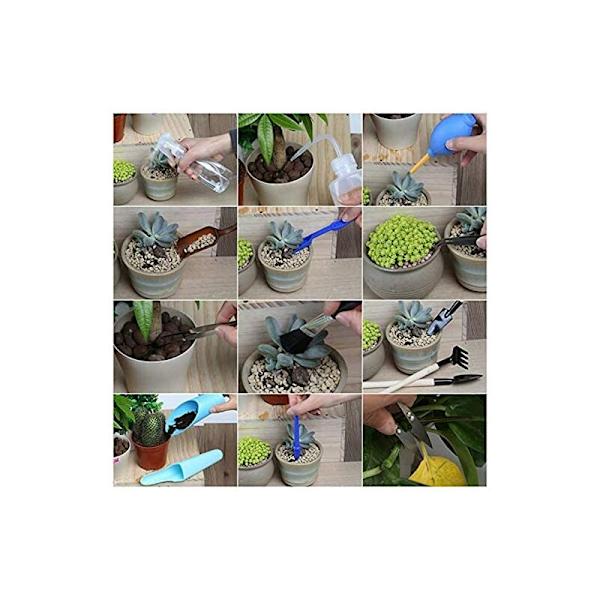 15 STK Planteværktøj, Sukkulent Transplantation Tool Kit, Mini Have Planting Tools