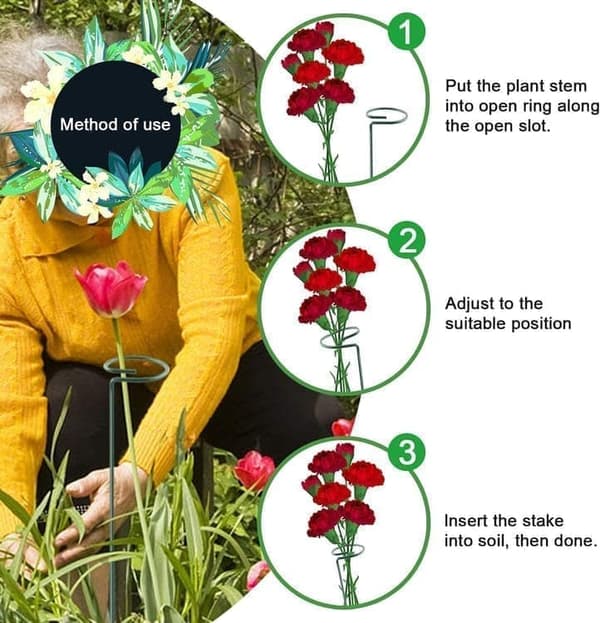 Växtstöd Blomsterpinnar Krukväxtstöd för växter och blommor, 10-pack 37cm