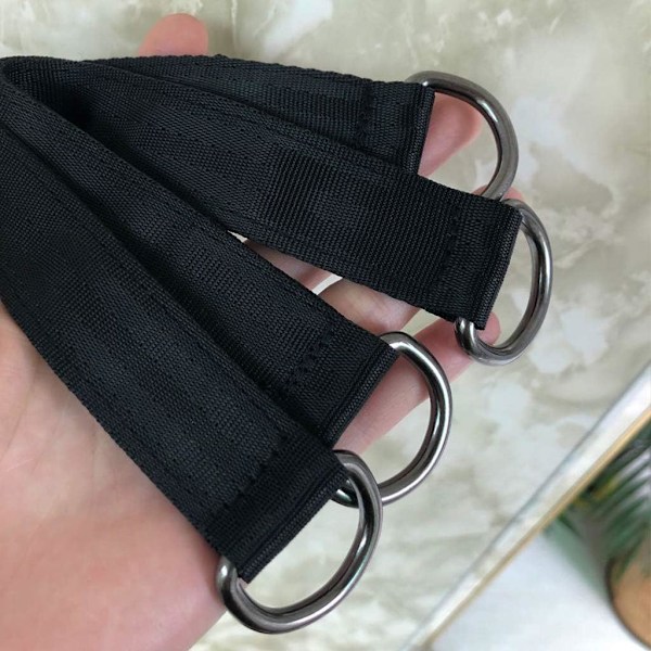Trægynge Stropper, 2 stk. 25 cm / 9,8 tommer Trægynge Ophængningssæt Heavy Duty Ophængningsstropper Holder 440 lbs med Karabinhage Perfekt til Trægynge Hav 25cm Straps With Carabiner