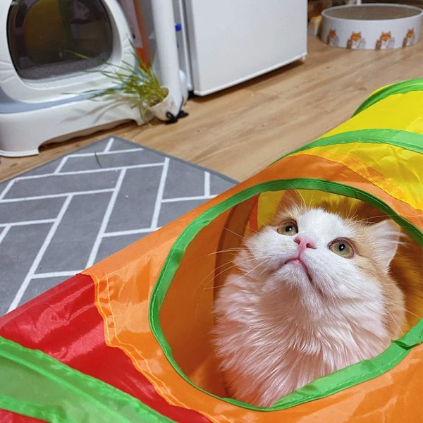 Hopfällbar kattunnel Interaktiv regnbågstunnel för inomhuskatter Fällbara lekrör med en bollleksak för katt kattunge kaninövning