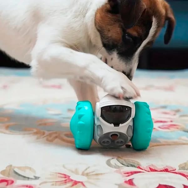 Interaktiv RobotFoderautomat til Hunde og Katte