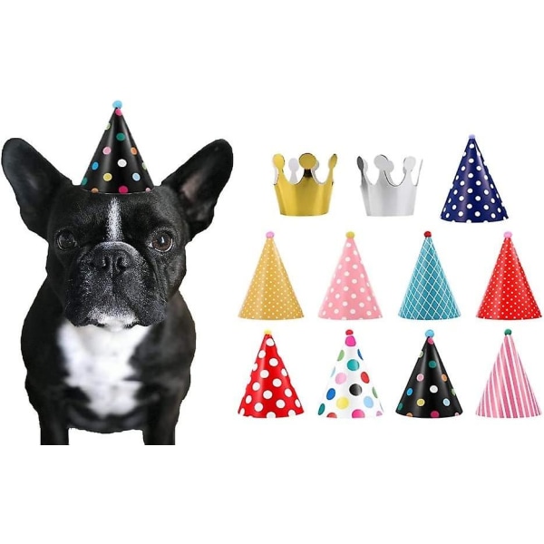 Hattsett for hundeparty - Hundebursdagsfest - Hatter og kroner festtid - 11 stk