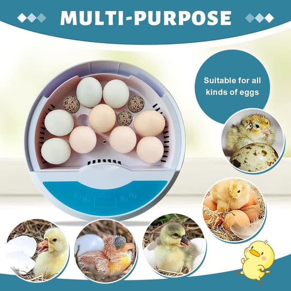 9 egg inkubator, kyllingegg inkubator med automatisk eggvending og temperaturkontroll, og automatisk vanndispenser.