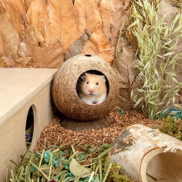 Kokosnøtthule Hamsterhus Seng for Gerbils Mus Smådyr Bur Habitat Dekor Brown