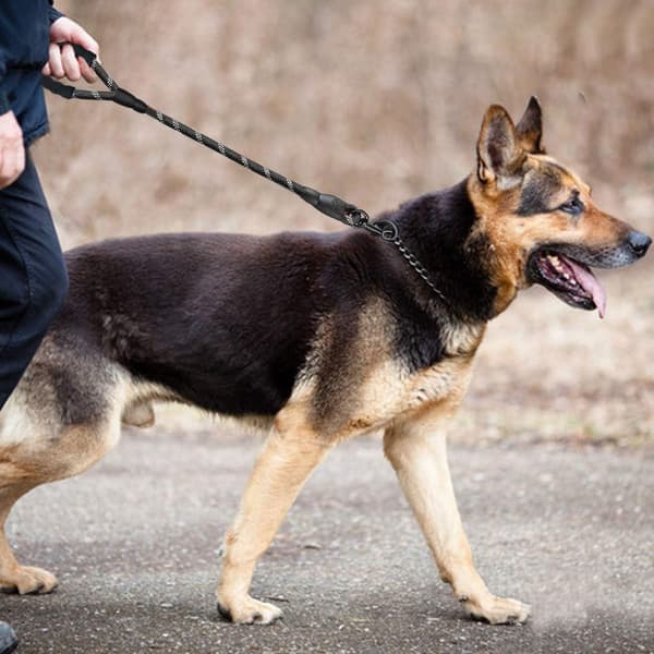 Kort hundesnor, ca. 1,2 meter lang, med pude