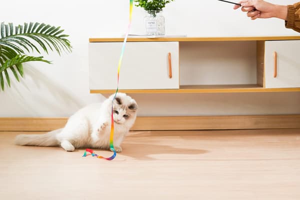 Interaktive katteleker for innekatter, regnbueviftende kattestokk