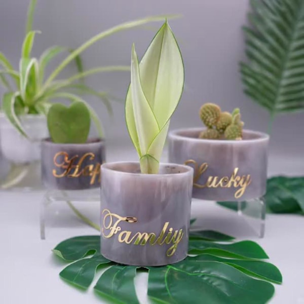 Blomsterpot opbevaringsform Smykkeornamentform Diy Håndlavet boligindretning