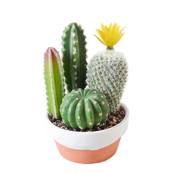 Kunstig kaktus plantearrangement med potte falske sukkulent kaktus potte grønne planter for hjemme bryllup kontor dekorasjon