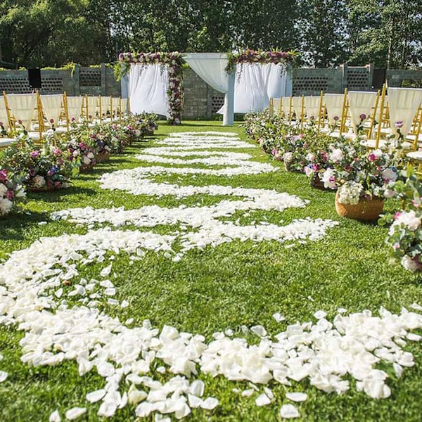 2000 stykker hvite roseblader, kunstige roseblomster uten smak, emulerte roseblader for romantiske scener, bryllupsdag, bursdag, konf White